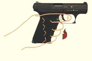 P7 Safe